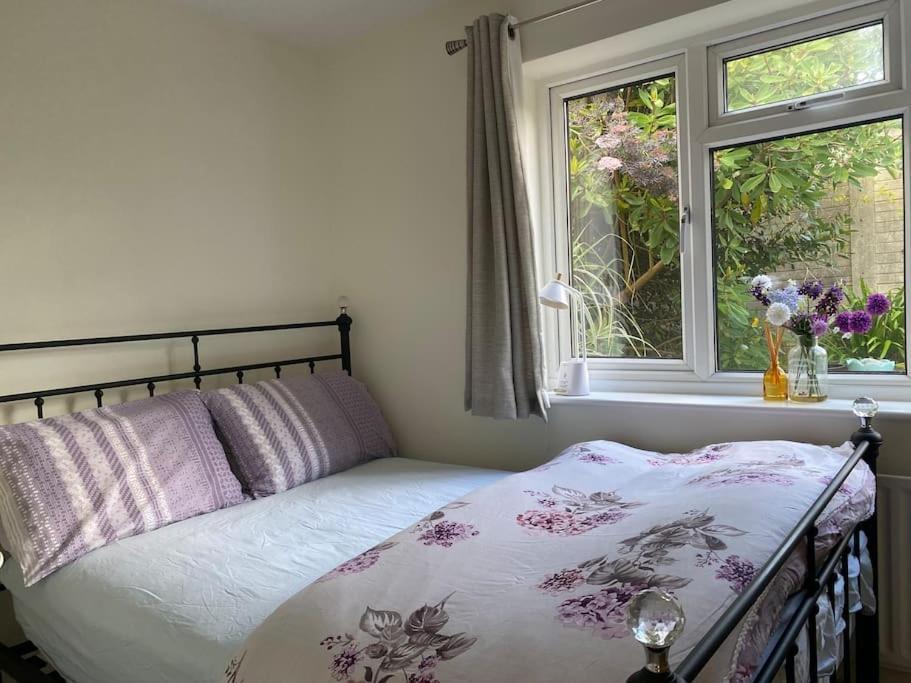 Cosy Apartment With Private Access And Kitchenette In Guildford (Adults Only) Worplesdon Exteriér fotografie